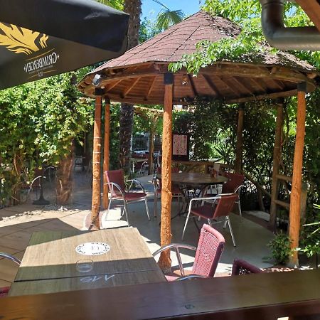 ATIPYC hôtel Marssac-sur-Tarn Buitenkant foto